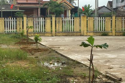 TRƯỜNG MẦM NON TÍCH CỰC HƯỞNG ỨNG “ TẾT TRỒNG CÂY”, XUÂN NHÂM DẦN 2022  Thực hiện lời dạy của Chủ tịch Hồ Chí Minh, phong trào trồng cây vào dịp Tết nguyên đán hàng năm đã trở thành phong tục tốt đẹp của nhân dân ta, trở thành truyền thống của cán bộ, giáo viên, Trường Mầm non Bình Thanh. Sáng nay ngày 10 tháng 02 năm 2022 ( tức ngày 10 tháng giêng âm lịch năm Nhâm Dần), hòa chung với phong trào phát động “ Tết trồng cây” của xã Bình Thanh, nhà trường đã phát động cán bộ, giáo viên, nhân viên tích cực tham gia hưởng ứng Tết trồng cây, xuân Nhâm Dần 2022 và đời đời nhớ ơn Chủ tịch Hồ Chí Minh vĩ đại. Sau đây là một số hình ảnh về Tết trồng cây của trường: